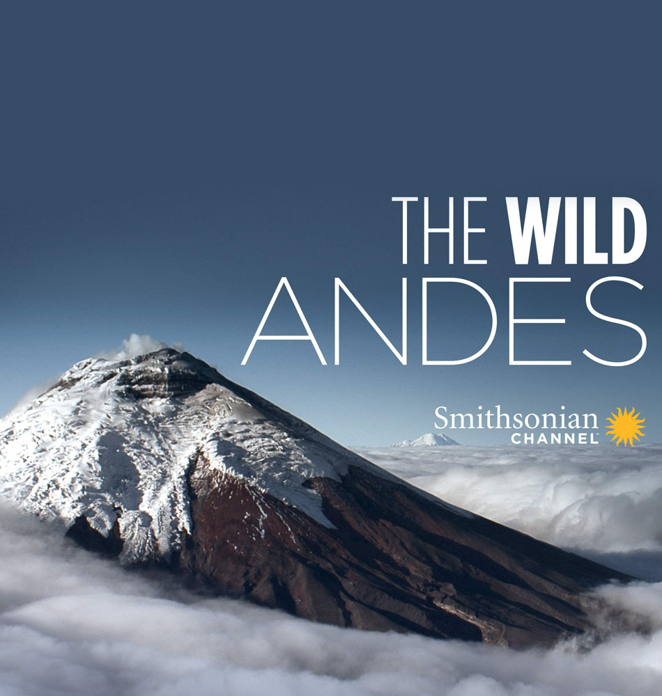 The Wild Andes