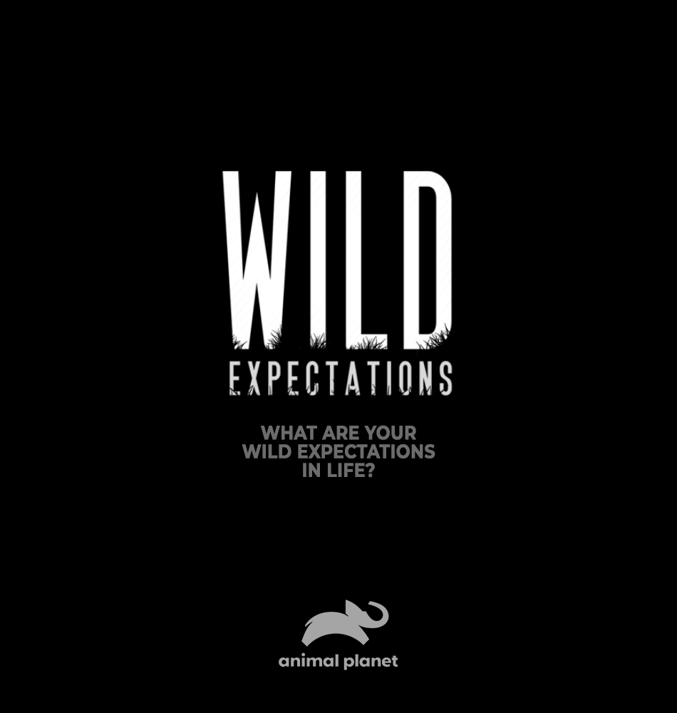 Wild Expectations.