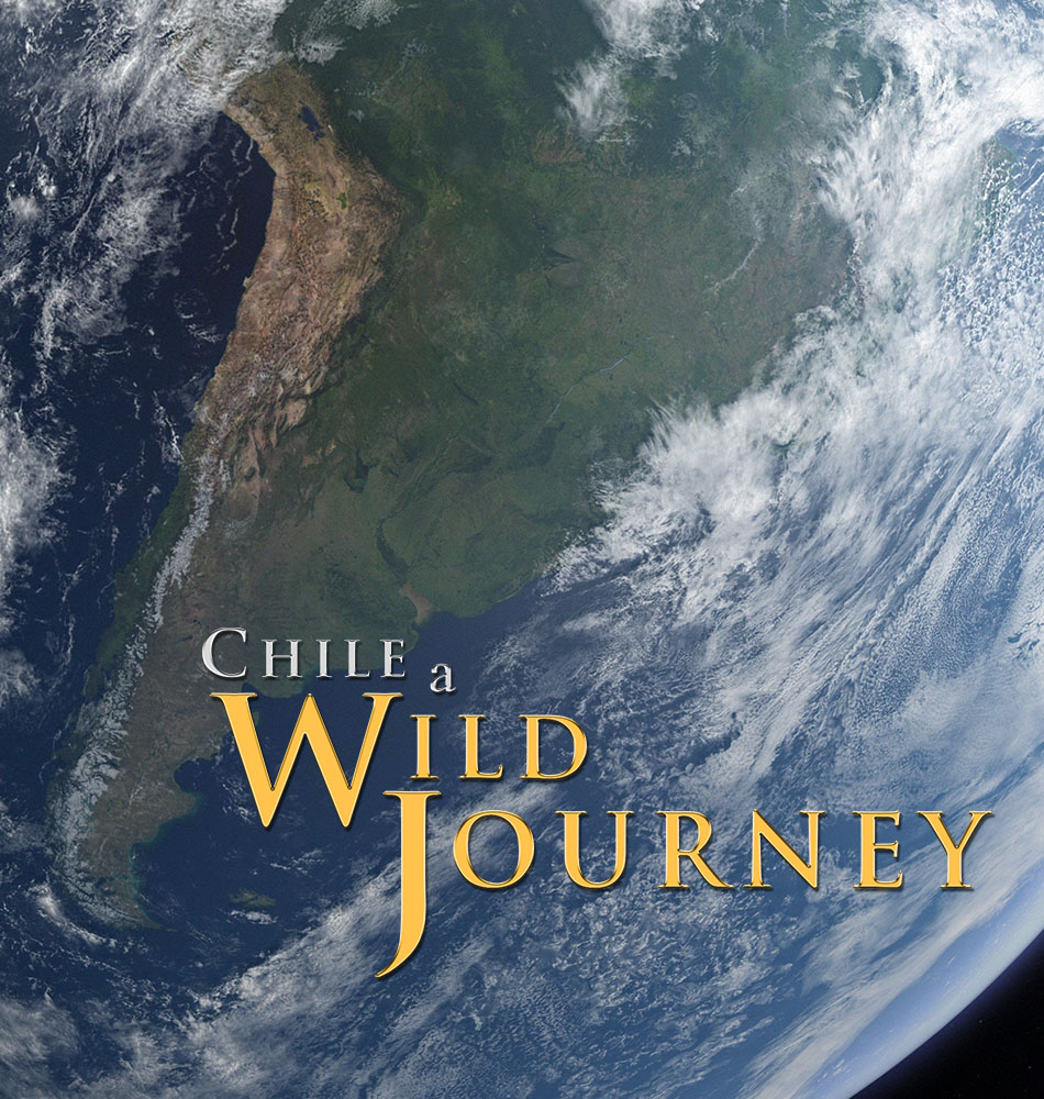 Chile: A Wild Journey