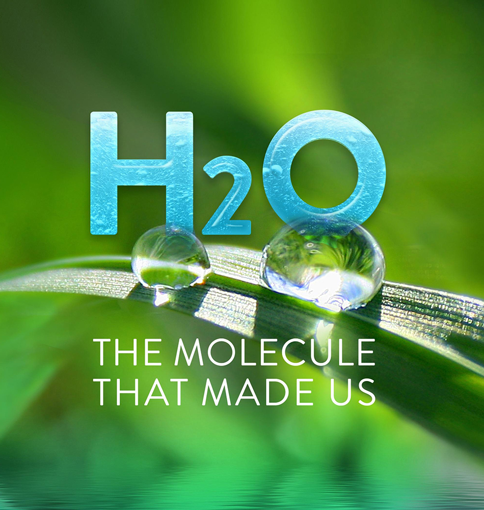 H20: The Molecule that Made Us